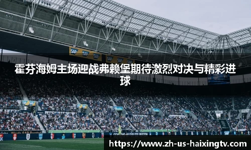 霍芬海姆主场迎战弗赖堡期待激烈对决与精彩进球